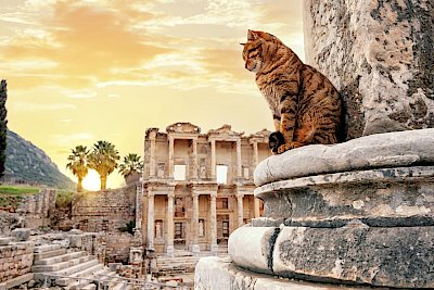 Temple of Artemis at Ephesus: History &amp; Visiting Guide