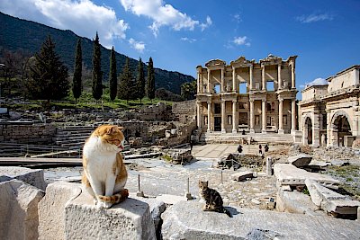 Discovering the Hidden Gems of Ephesus