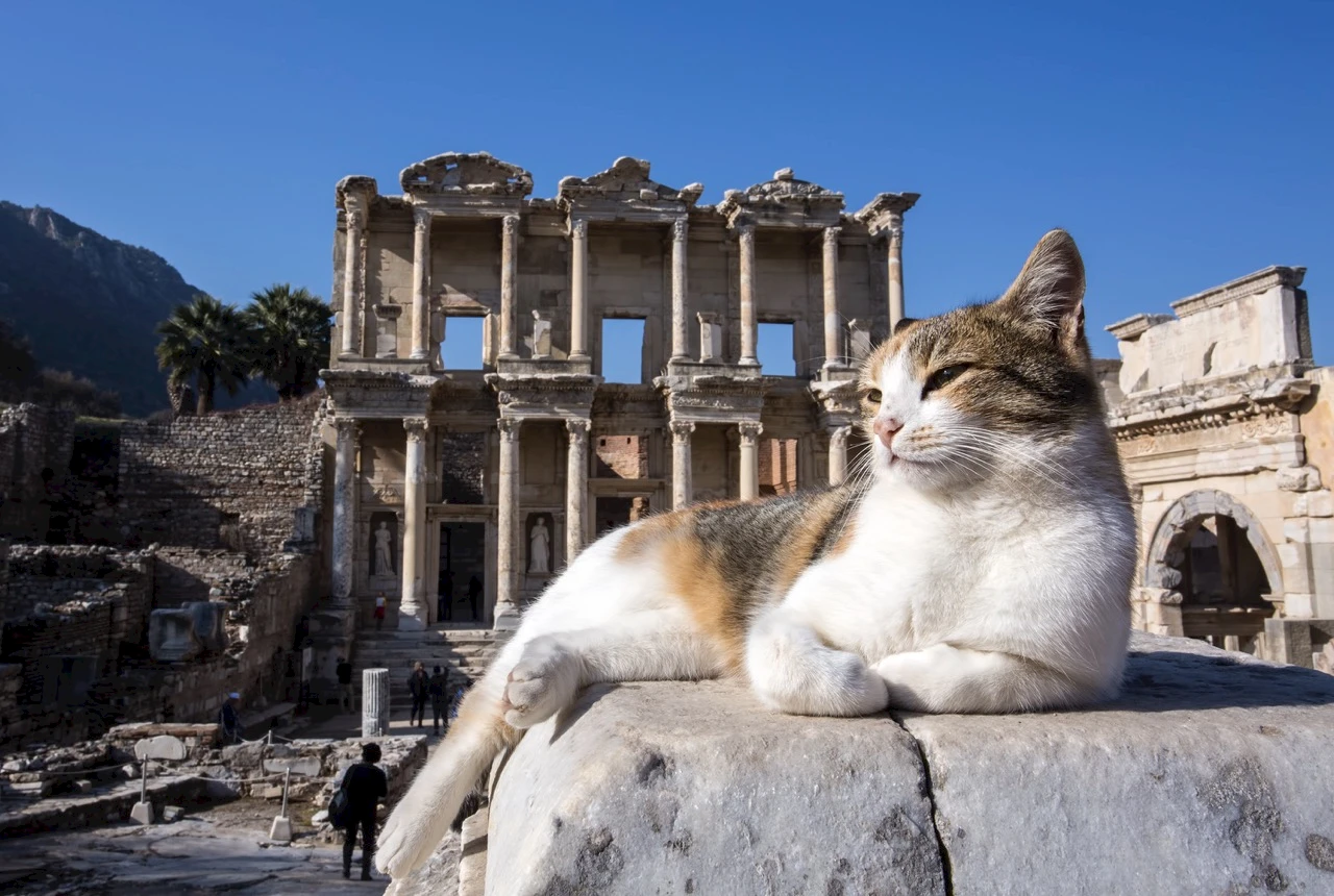 Best Times to Visit Ephesus for Avoiding Crowds