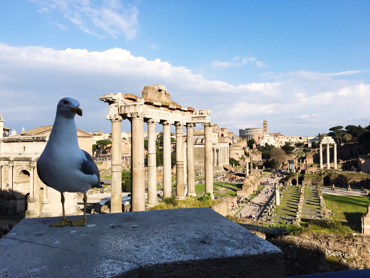 Consejos de Viaje a &Eacute;feso: C&oacute;mo Planificar tu Visita Perfecta