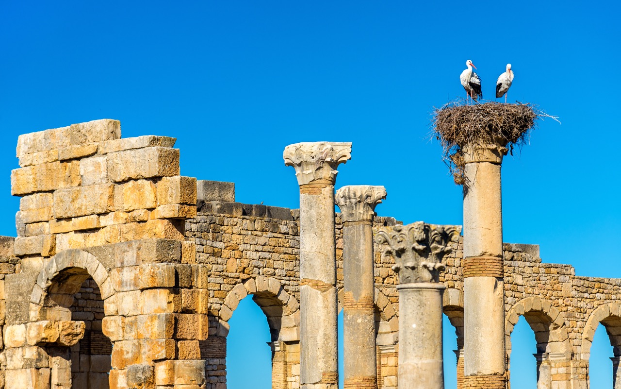 &iquest;Vale la pena visitar &Eacute;feso? Principales razones para explorar las ruinas